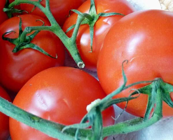 Tomato Chutney or Sauce, Fresh - 1