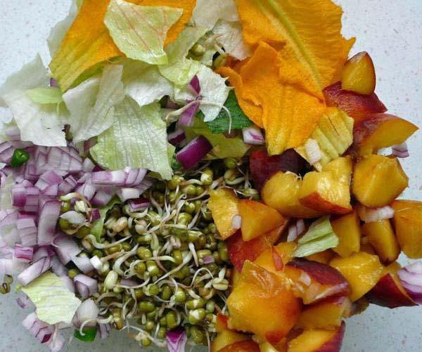 Mung Bean (Green Gram) Sprouts Salad 3, With Peaches or Other Fruits