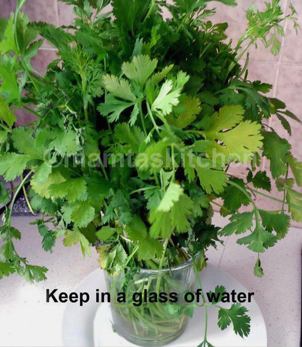 How To Store Coriander (Cilantro) Leaves For A Longer Life?