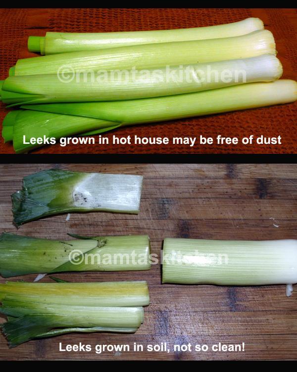 Leek What Are